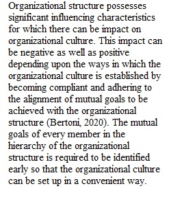 Organizational  Structure Assignment